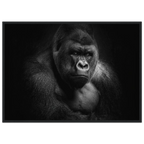 07039270-0b71-4cc4-bad6-7250710e068d