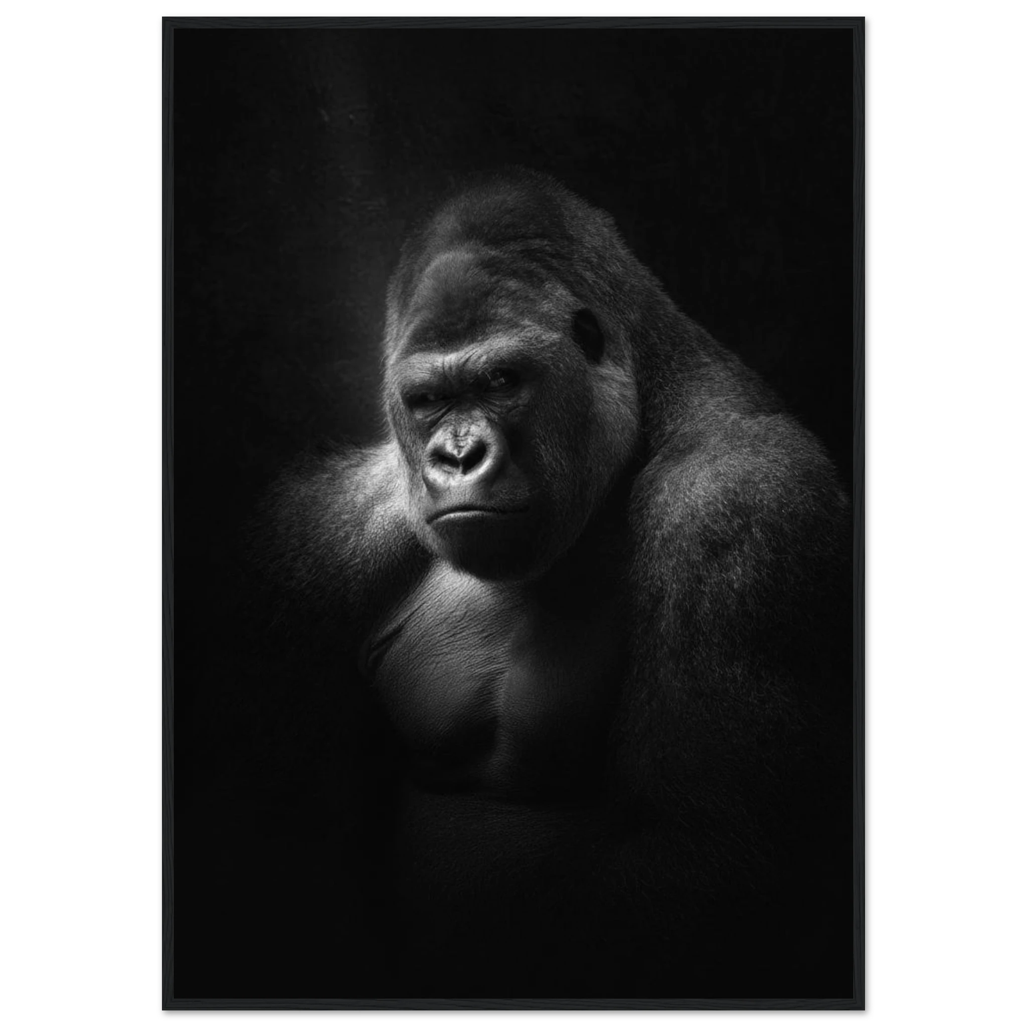 2c8a3537-3921-49e4-8439-99b43452babc