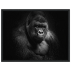 359258de-4e25-4ff2-8ff2-d4c82b9c7ff2