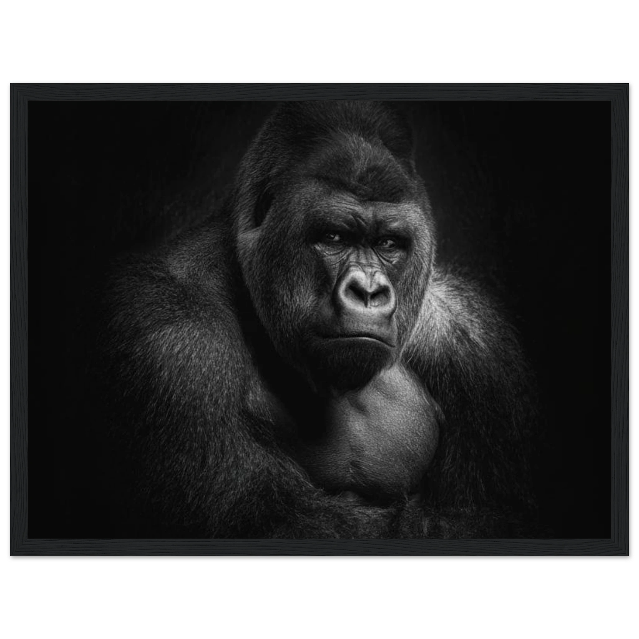 359258de-4e25-4ff2-8ff2-d4c82b9c7ff2