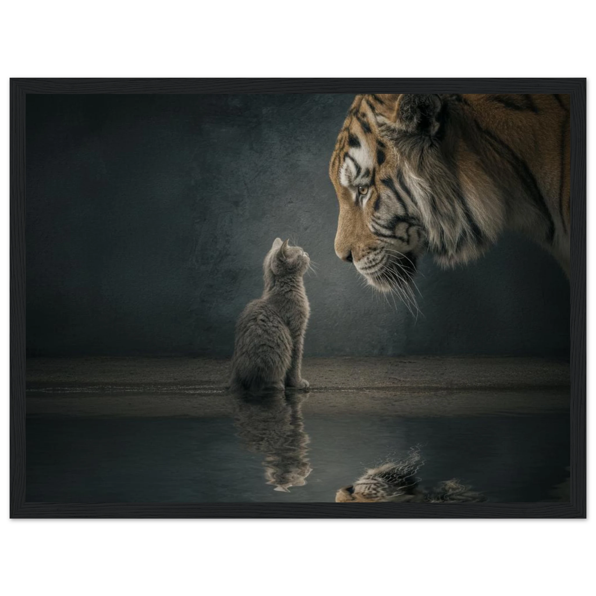 4cd45c1b-fc7a-480e-8304-3f84d9d3e8f9