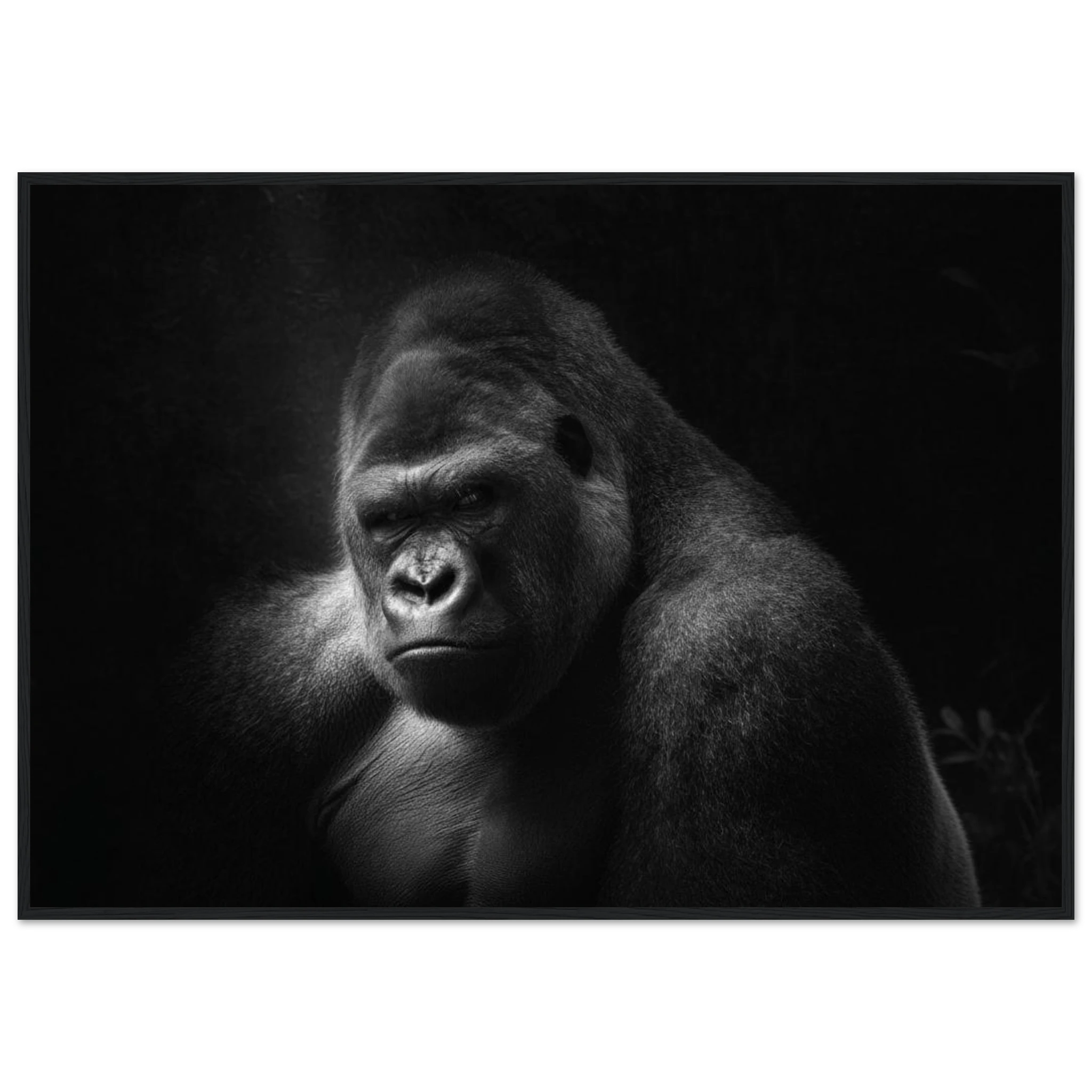 56f37b6d-678d-40c2-b76c-6b8b14f2752b