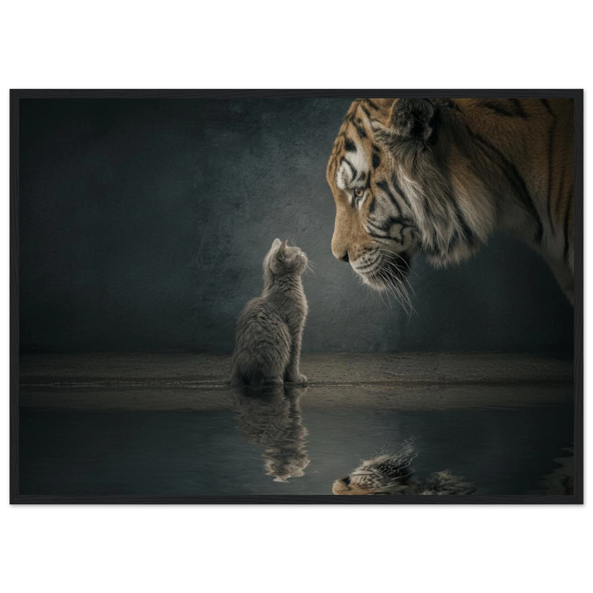 65465cb6-cc6d-4f17-84fb-20a6698163d3