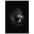 661a76c8-9cf1-4ed1-940a-872f30ecd459