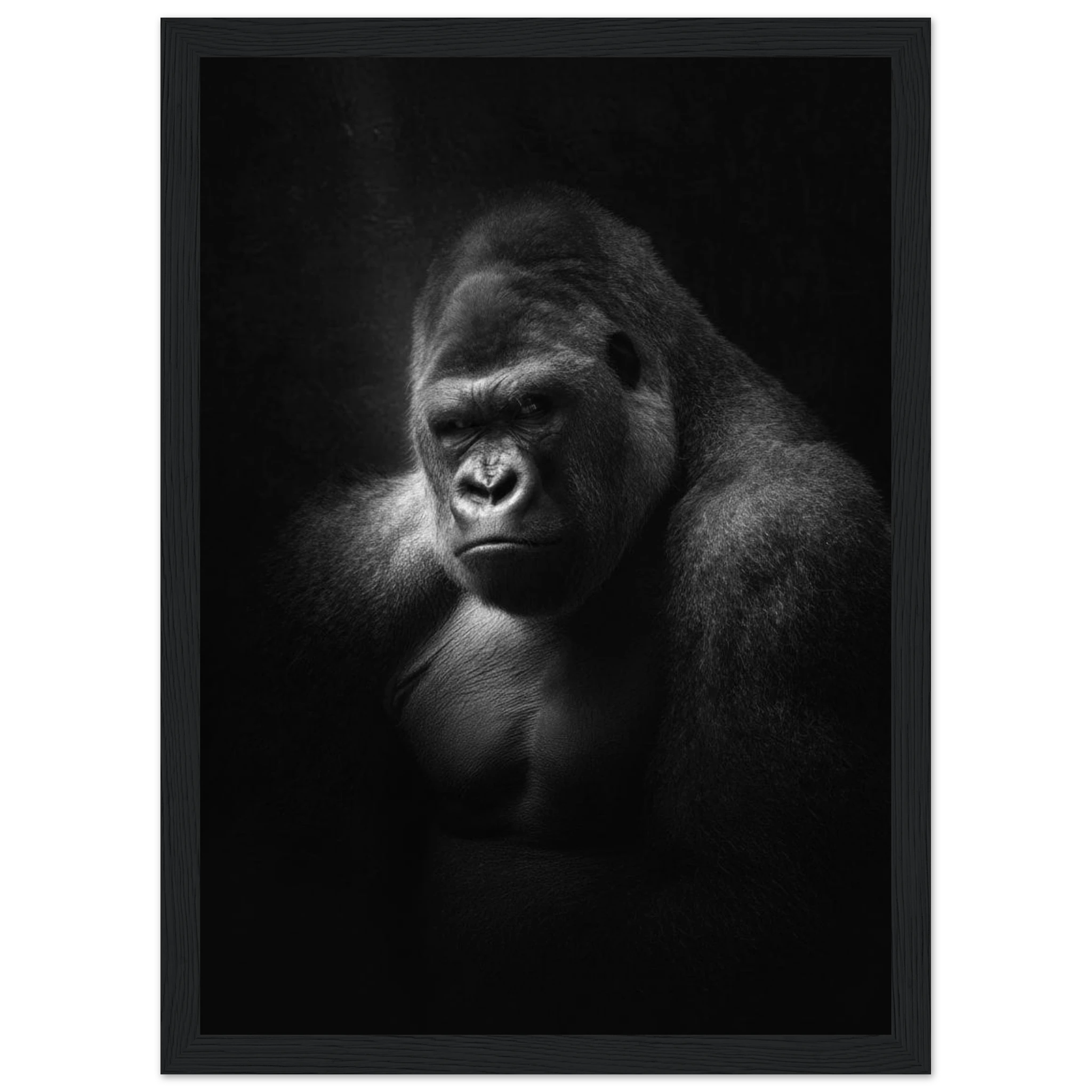 6db83b81-c293-4c3d-b08e-32986bcf45a1