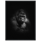 71e95840-7e8c-43d4-966d-1fd208016251