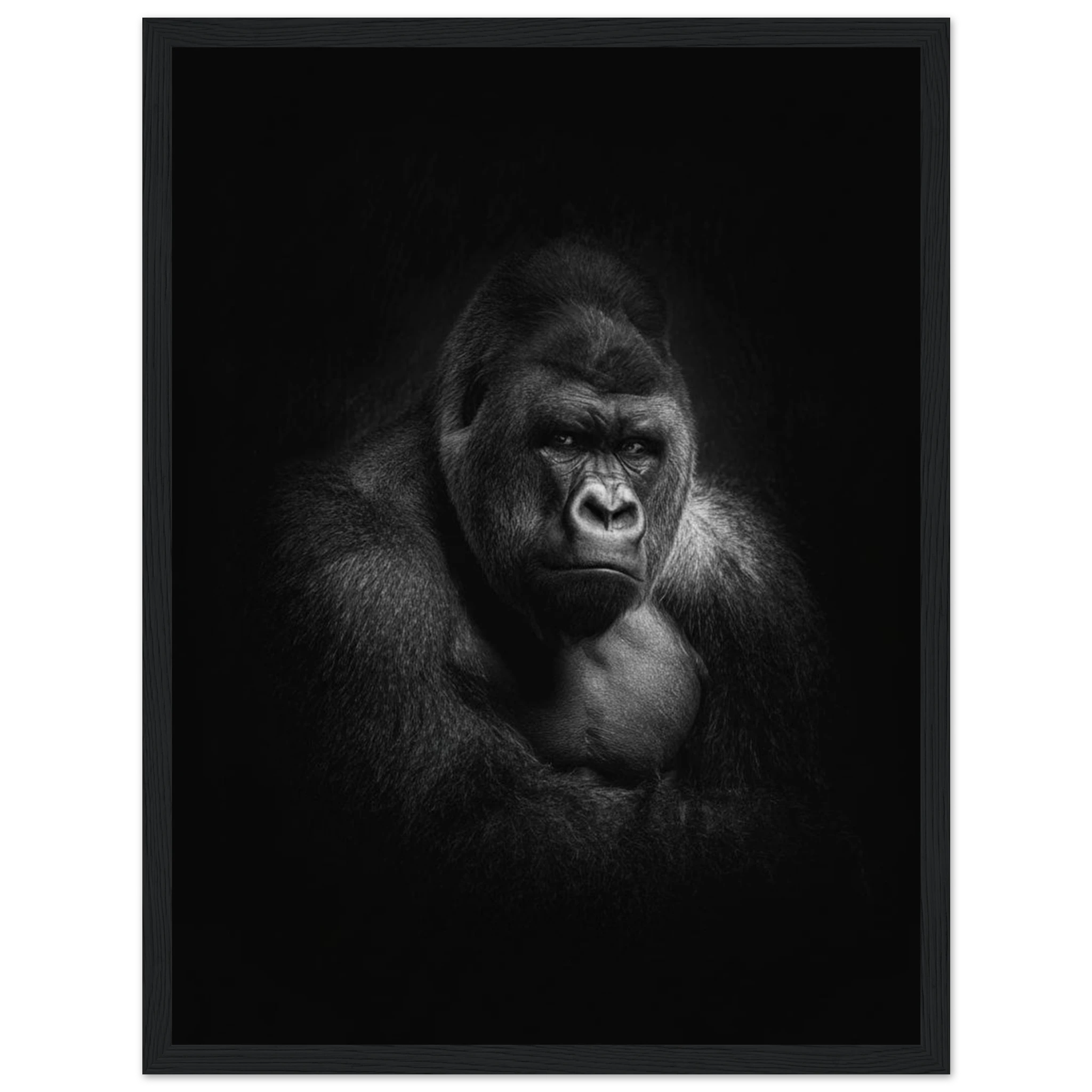 71e95840-7e8c-43d4-966d-1fd208016251