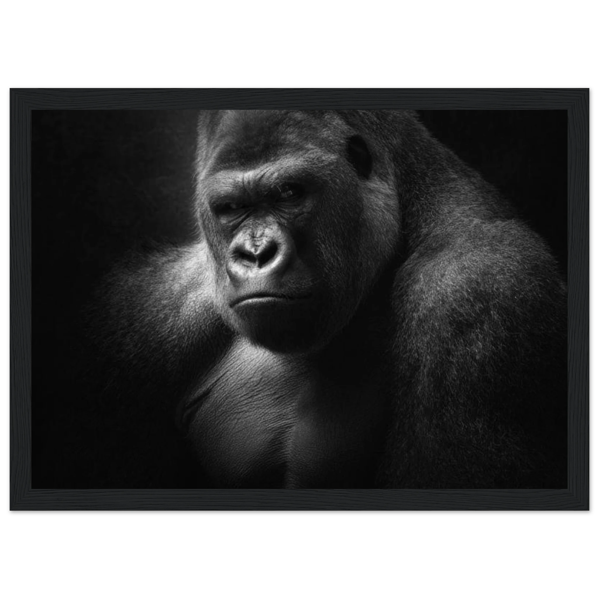 767fe172-ffad-4c42-8f91-6d3b0fd473b7