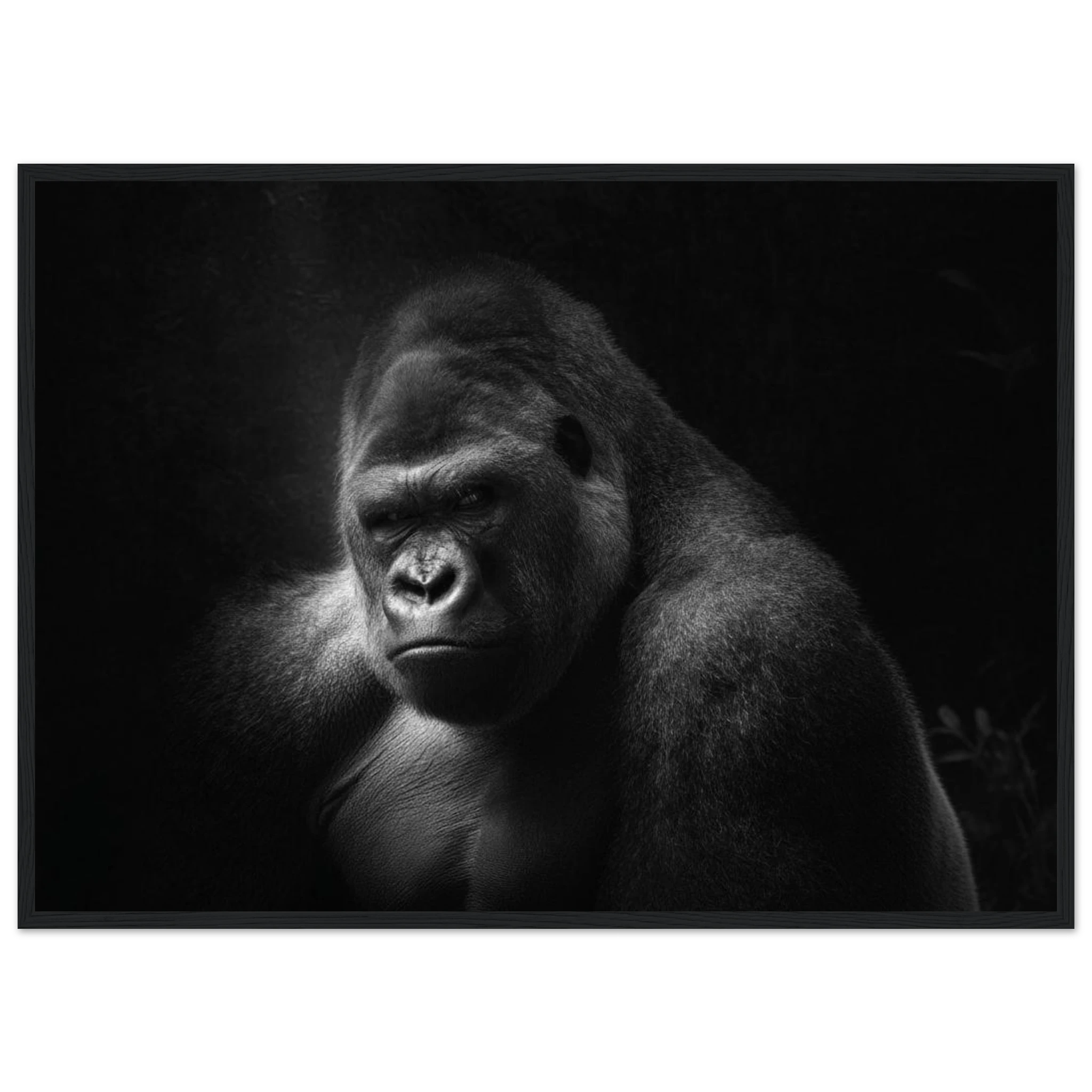 87a8d418-3bdd-4445-8f70-c7fd2b0802b9