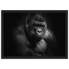 897fb3d5-28a5-4f85-b96d-69aa9ccdb757