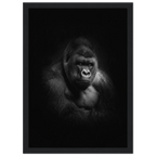 cba87227-5761-42ef-8da1-bf7837394227