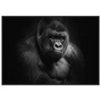 d6254607-dbc4-414b-a61e-bc5c6accc361