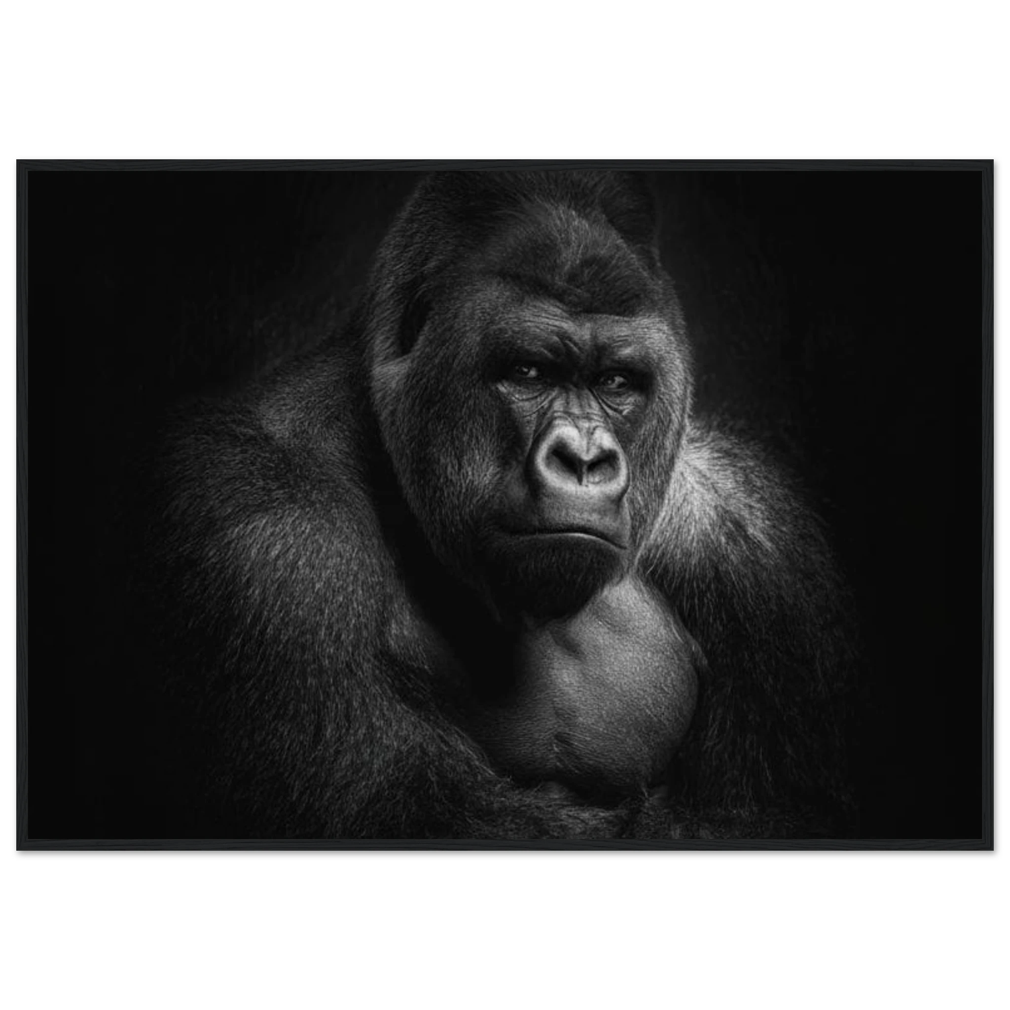 d6254607-dbc4-414b-a61e-bc5c6accc361